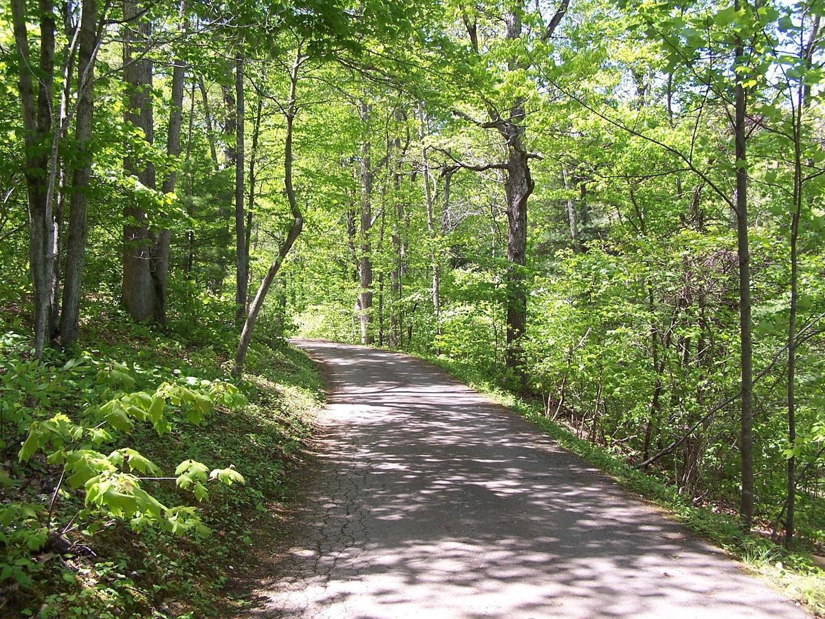 Cabin Creekwood Lyndhurst Extérieur photo